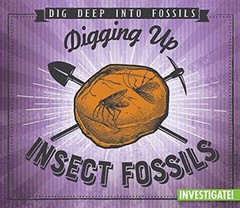 Digging Up Insect Fossils – Library Binding, by Taylor Charlotte – Very Good n
