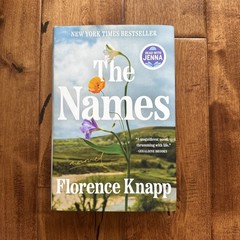 The Names A Novel – VERY GOOD