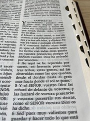 Valera 1602 Purificada Santa Biblia, 14-pt font (9.5 x 7 x 1.5) – Burgundy