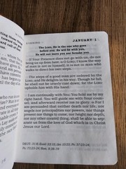 Daily Light Devotional by Anne Graham Lotz: Brand New Tan Color