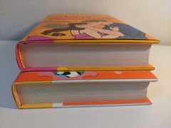 SIGNED Love Theoretically And Loathe To Love You by Ali Hazelwood Hardcover Auto