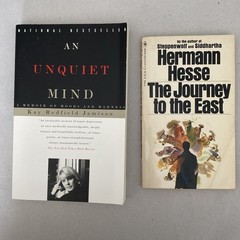 Jon Kabat-Zinn Mindfulness Lot 2x Full Catastrophe Living Hermann Hesse Jamison