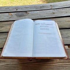 HOLY BIBLE ROYAL SOVEREIGN WORLD KJV BURGANDY GENUINE BONDED LEATHER RED LETTER