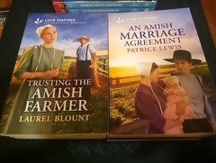 14 LOVE INSPIRED INSPIRATIONAL ROMANCE BOOK LOT MIXED TITLES K-9 COMPANION AMISH