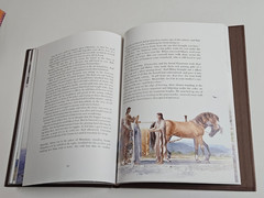 The Wanderings of Odysseus: THE STORY OF THE ODYSSEY Hardcover DUST JACKET 1996