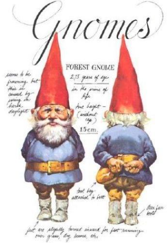 Gnomes by