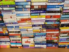 Instant Little FREE Library BOOKs~Value Lot~U PICK GENRE Mix~Fiction/Nonfiction