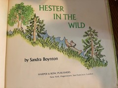 Hester in the Wild Sandra Boynton 1979 Hardcover Harper Row 1st Edition Vtg