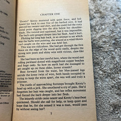 Pool Of Dreaming Romance Paperback Book by Dana James from Harlequin Books 1989