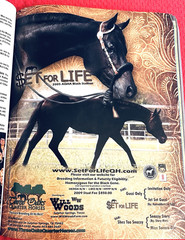 SALE ENDS 6/15! 2008 Quarter Horse Journal STALLION EDITION Book, PEPTOBOONSMAL