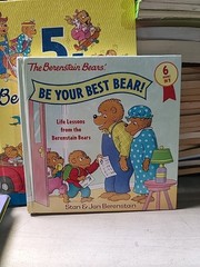 Berenstain Bears Lot 8+ Books by Stan & Jan Berenstain – Hardcover Children’s Bo