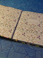 Beholding and Becoming: The Art of Everyday Worship by Ruth Chou Simons HC