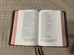 Schuyler ESV Stridon Bible – Desert Camel Calfskin Leather