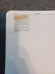 Revell The Loose Leaf Bible King James Version