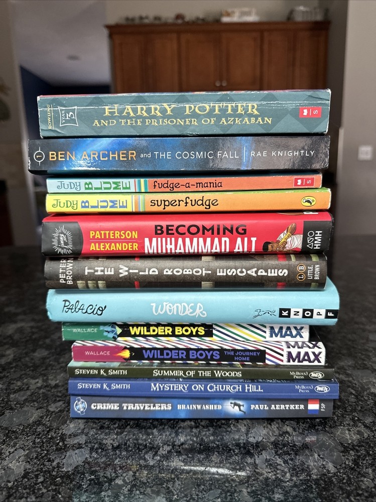 Lot of 12 Chapter Books BOYS Youth Early Reader Young Adults Children Adventure