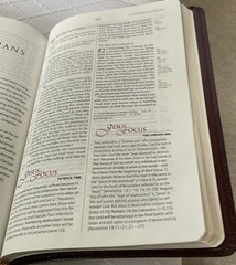THE KNOWING JESUS STUDY BIBLE. NIB. Burgundy Leather. Free Shipping.