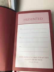 NIV Thinline Bible Charcoal/Maroon Christs Word Red 8.5x5x1 Silver Pg Edges Gift