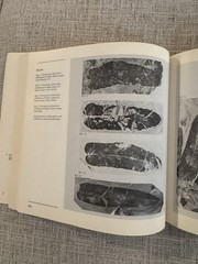Upper Carboniferous Fossil Flora Nova Scotia Paleobotany Museum Monograph 1980