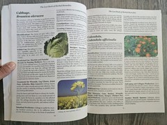 The Lost Book of Herbal Remedies – Claude Davis, Nicole Apelian Ph.D- VG