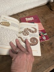 3 Vintage 1969 A Golden Book Quiz-Me By Different Authors See Description