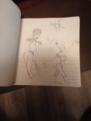 Adult Art Drawings 45 Pages By John A. Goester