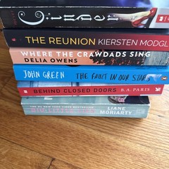Popular Book Lot