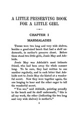 1920 A Little Preserving Book For A Little Girl 200 Pages