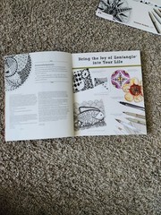 3 Zentangle Coloring Work books. 2 Sketch Books, 30 Color Dual Brush Pens