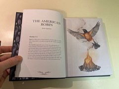 Ornithography Illustrated Guide to Bird Lore & Symbolism, Jessica Roux Hardcover
