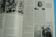 The Dynamite Gang, The 367th Fighter Group in WWII, Richard Groh, Aero, LN 1983