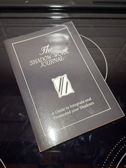 The Shadow Work Journal: a Guide to Integrate and Transcend Your Shadows