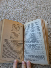 The Crying of Lot 49 by Thomas Pynchon : Vintage PB, Bantom Windstone Edit 1982