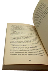 Skulduggery Plesant Playing with Fire by Derek Landy Paperback 360 pages