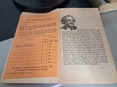 Vintage Book Lot- Scarlett Letter, Mean As Hell, The Girls At Mount Morris,