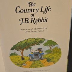 RARE The Country Life of J.B. Rabbit Doris Susan Smith Hardcover 1983 Children