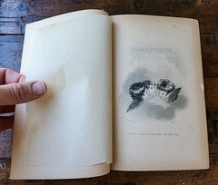 Happy Homes and the Hearts that Make Them 1889 Hardcover Samuel Smiles: DP