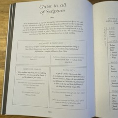 NEW In The Word A Journal For Deeper Bible Study By The Daily Grace Co Linen