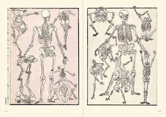 Picture Books of Kawanabe Kyosai – Japanese Art Book by Kyosai Edo Meiji Era