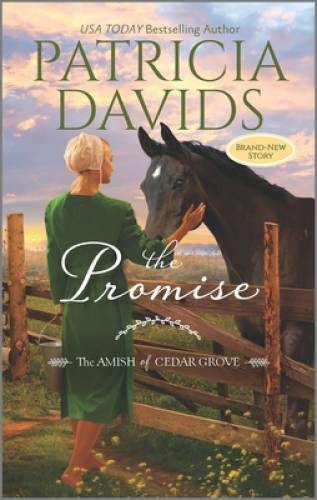 The Promise: A Clean & Wholesome Romance (The Amish of Cedar Grove) – GOOD