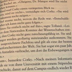 Dan Brown Meteor Book Deutsch German Taschenbuch