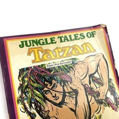 Jungle Tales of Tarzan Edgar Rice Burroughs Burne Hogarth Illustrated Book 1976