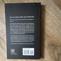 Thought Catalog Books The Mountain Is You by Brianna Wiest Paperback Self-Help