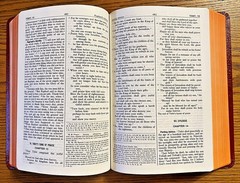 Saint Joseph Edition of the New American Bible NEW in Box Large Type Illustrated
