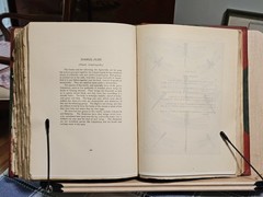 The Insect Book by Leland O. Howard, Ph.D. HC 1903 Red Leather/Green Cloth