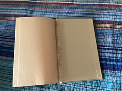 lot of vintage Chaucer, Tolstoy, Flaubert, Hardy hardcover books