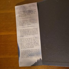 Tom’s Crossing A Novel by Mark Z. Danielewski First Edition Hardcover Damaged DJ