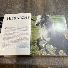 Such Is the Real Nature of Horses by Robert Vavra (1998, Hardcover/Dust Jacket)