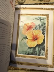 PAPER PAPER PAPER The Oceans Islands COLLECTION BOOK 180 Pages Create Craft 2025