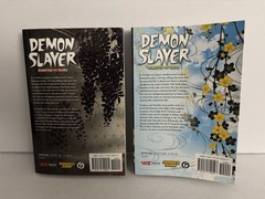Demon Slayer Volumes 2-3 English Graphic Novels Koyoharu Gotouge Set of 2