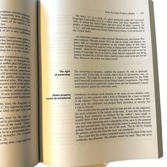 The Family Laval Advisor: A Clear, Reliable Guide To Your Rights Under The Law